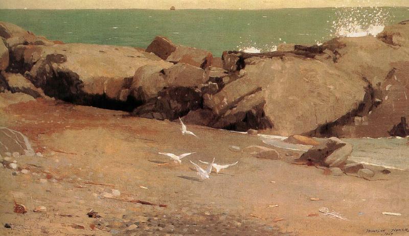 Winslow Homer Rocky shore and the seagulls china oil painting image